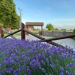 Lawendowy Zakatek Caloroczny Z Jacuzzi I Sauna *